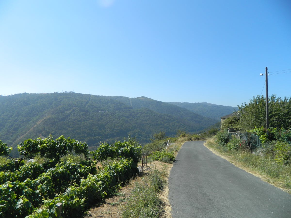 Maktab Digital Madrasa Management